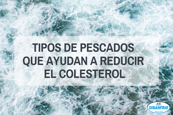 7 tipos de pescado para reducir el colesterol - Disanfrio