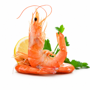 Langostino cocido gigante 25/35