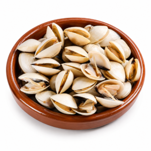 Almeja blanca