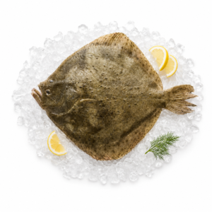 Rodaballo entero